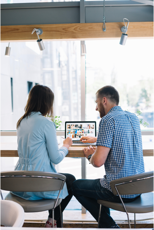 SEO Optimzation
